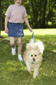 dog30423212.jpg