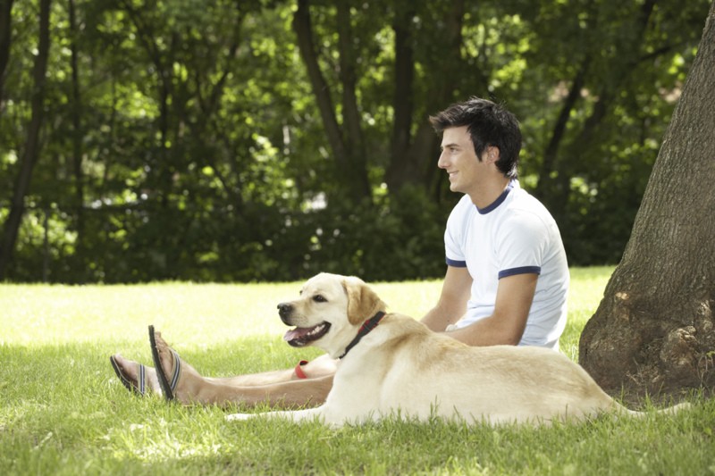 dog30423366.jpg
