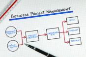 businessprojectmanagement_23568096.jpg