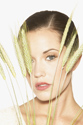 wheat33274180.jpg